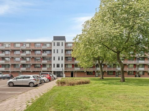  Banckertstraat 39, Terneuzen