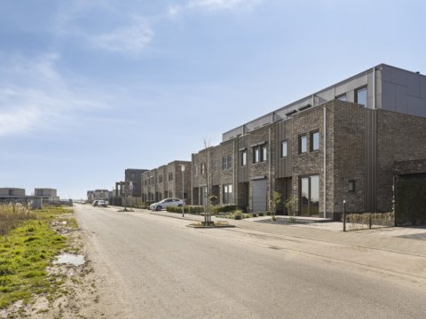  Apollovlinder 17, Terneuzen