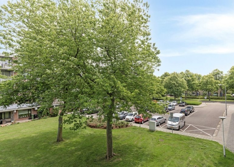  Banckertstraat 39, Terneuzen