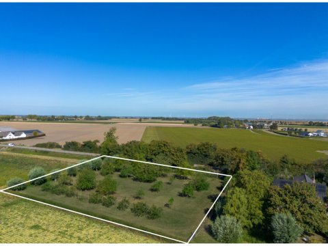  Drogendijk ongenummerd, Walsoorden