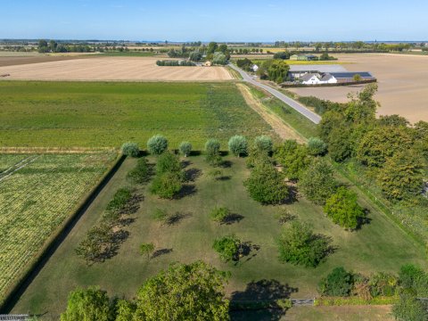  Drogendijk ongenummerd, Walsoorden