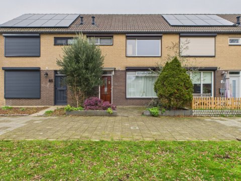  Lingestraat 83, Terneuzen