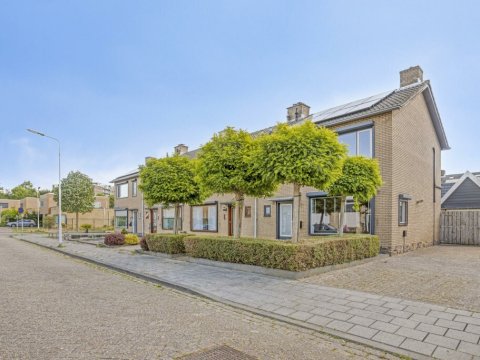  Pieter de Hooghstraat 8, Terneuzen