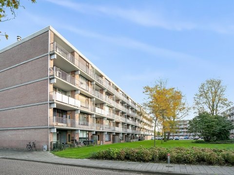  Witte de Withstraat 81, Terneuzen
