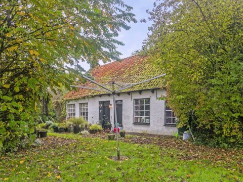  Sasput 21, Schoondijke
