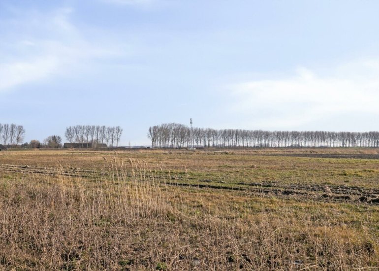  Apollovlinder 19, Terneuzen