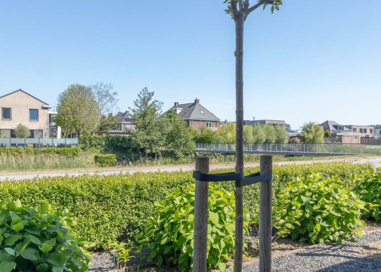  Vlinderlaan 24, Terneuzen