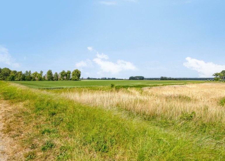  Hoek van de Dijk 15, Zaamslag
