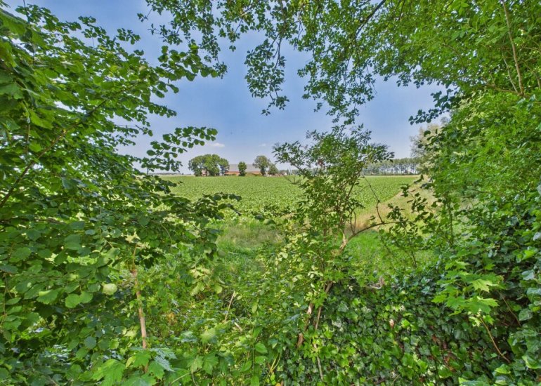  Schenkeldijk 2, Graauw