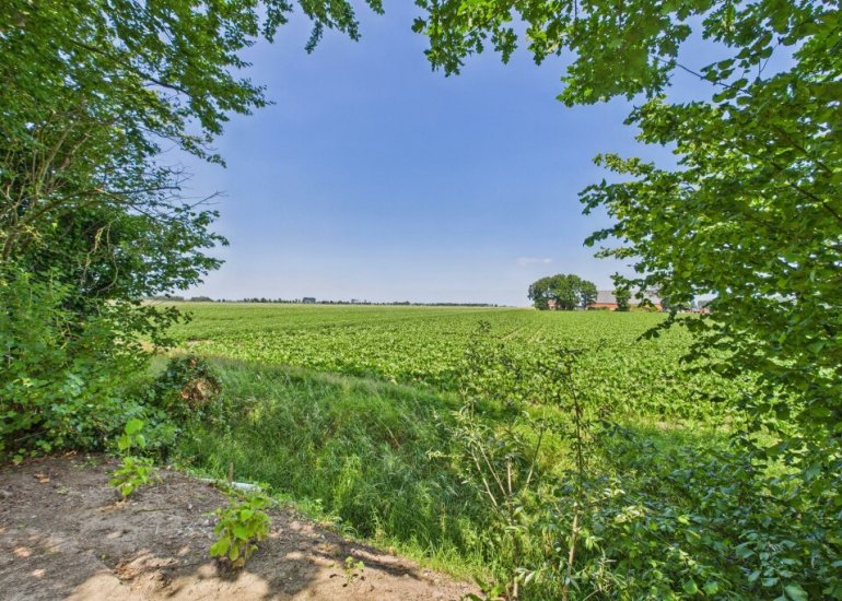  Schenkeldijk 2, Graauw