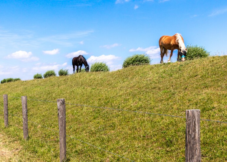  Jacobus de Waalstraat - kavel 4, Lamswaarde