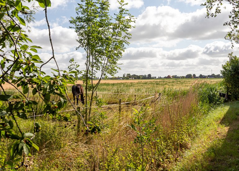 Zeedorp 10a, Ossenisse
