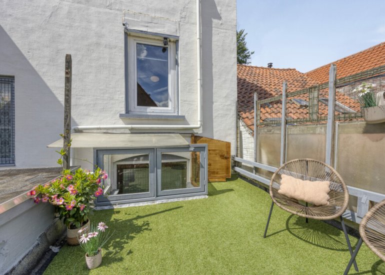  Grenulaan 50, Terneuzen