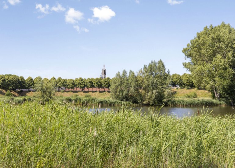  van der Maelstedeweg 46, Hulst