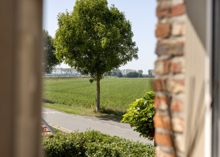  Graauwsedijk 15, Graauw