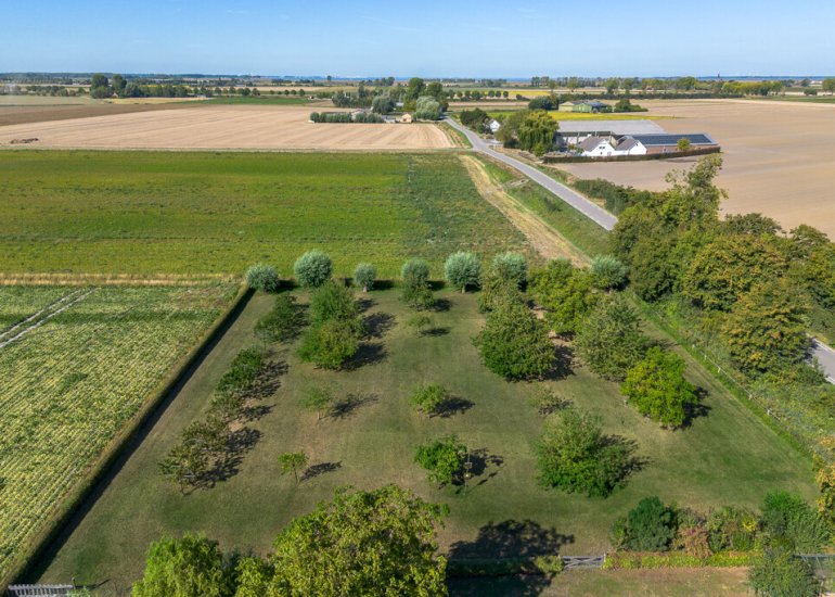  Drogendijk ongenummerd, Walsoorden