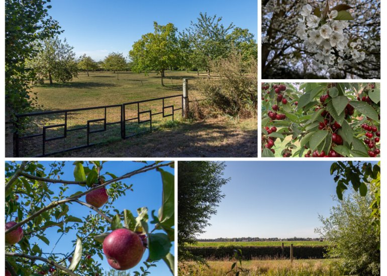  Drogendijk ongenummerd, Walsoorden