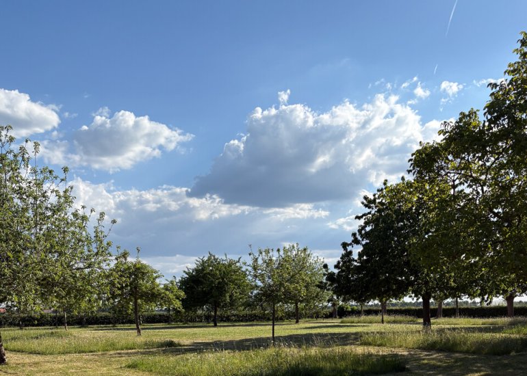  Drogendijk ongenummerd, Walsoorden