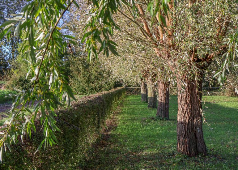  Drogendijk ongenummerd, Walsoorden