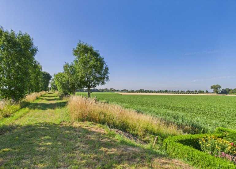  Doorndijk 3, Walsoorden