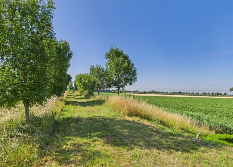  Doorndijk 3, Walsoorden