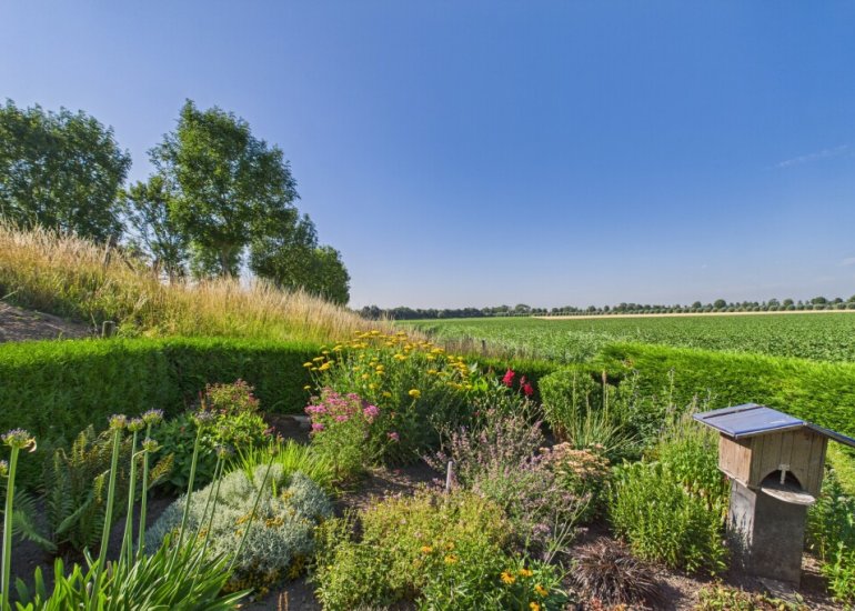  Doorndijk 3, Walsoorden