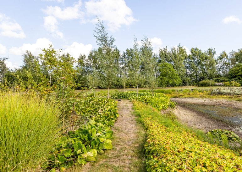  Riet- en Wulfsdijkweg 26, Hulst
