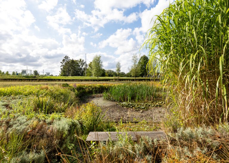  Riet- en Wulfsdijkweg 26, Hulst