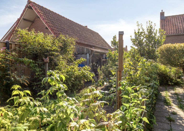 Burg. Verplankeplein 12, Biervliet