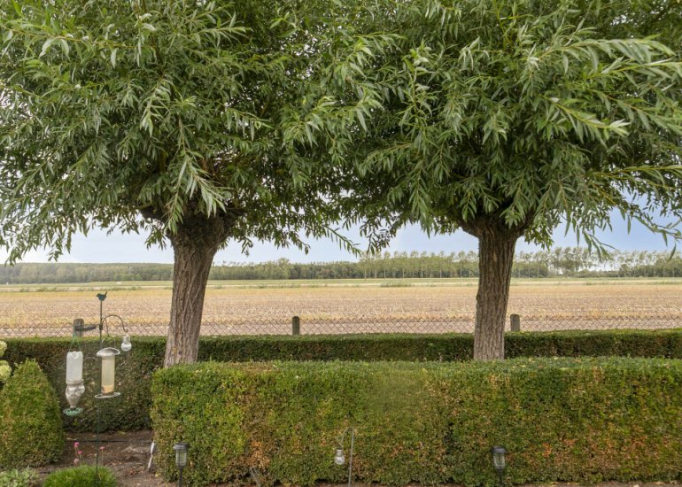 Ruysdaelstraat 48, Clinge