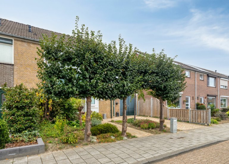  van Heetveldestraat 20, Zaamslag