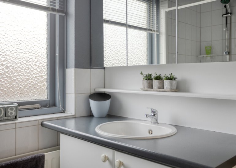 Oude Drydijck 39, Sint Jansteen