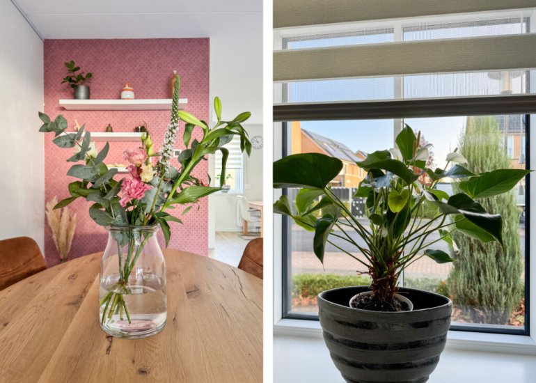  Hoogaarswerf 1, Terneuzen