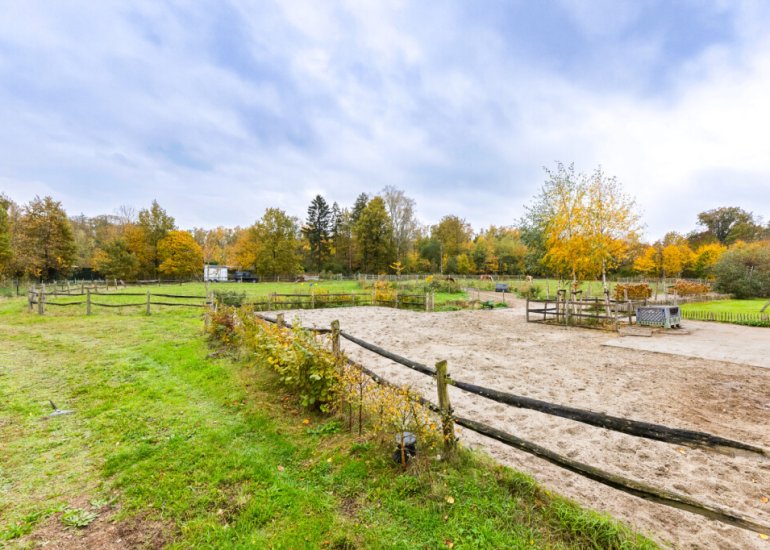  Julianastraat 81, Heikant