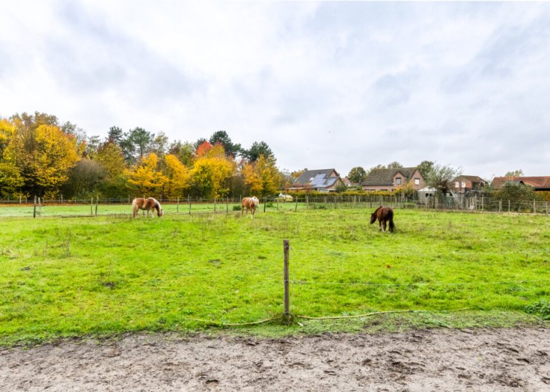  Julianastraat 81, Heikant