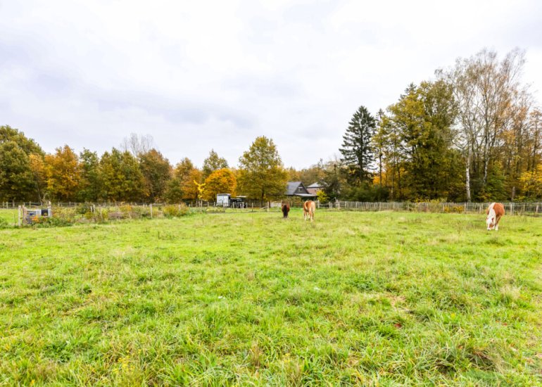  Julianastraat 81, Heikant