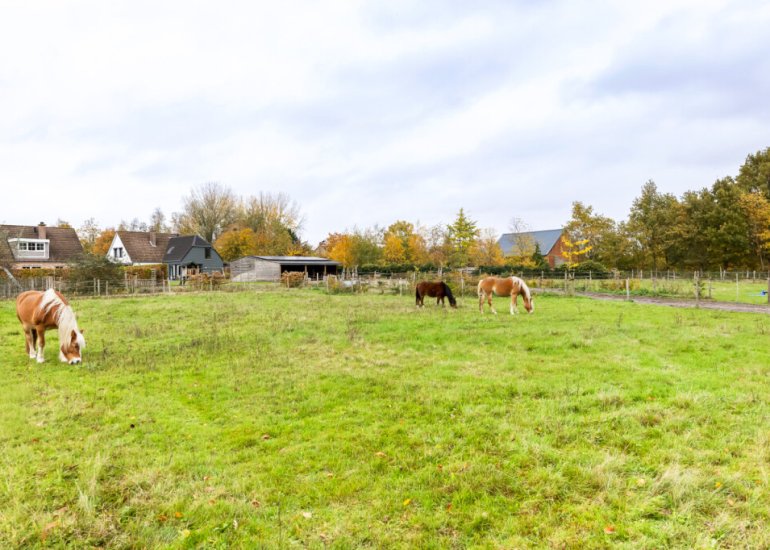  Julianastraat 81, Heikant