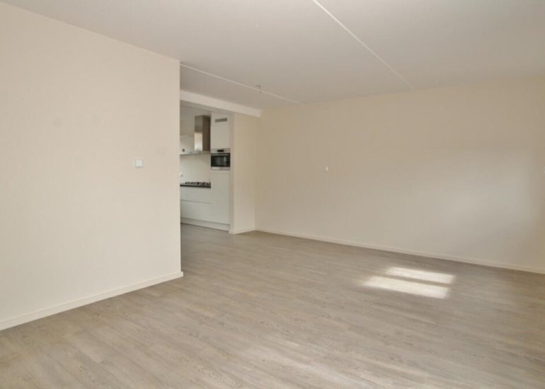  Zouterik 8, Philippine