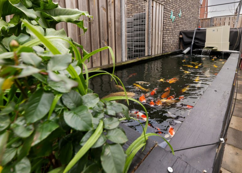  Koninginnepage 29, Terneuzen