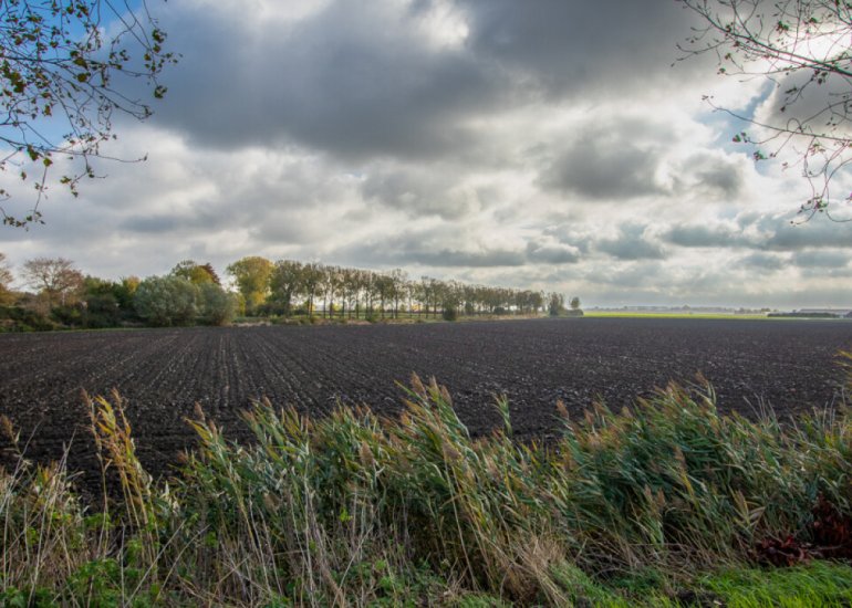  Vogelfort 3, Hengstdijk