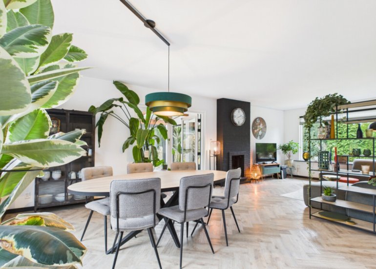  Dorus Rijkersstraat 6, Terneuzen