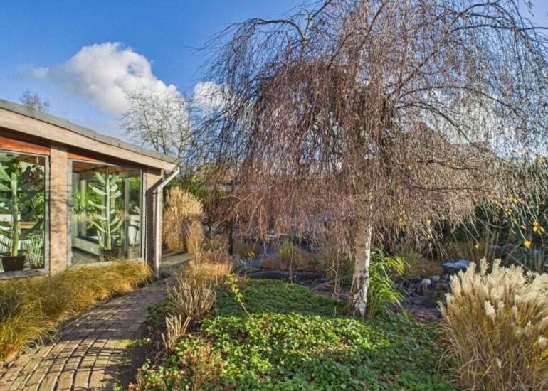  Dorus Rijkersstraat 6, Terneuzen