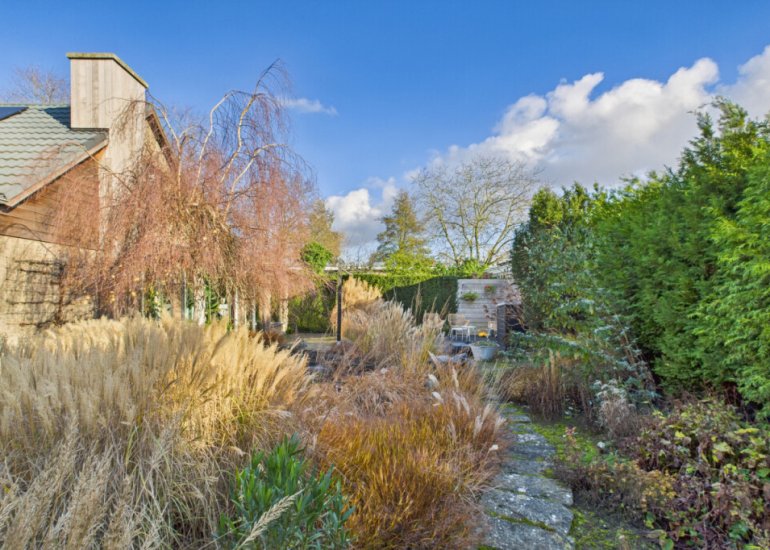  Dorus Rijkersstraat 6, Terneuzen