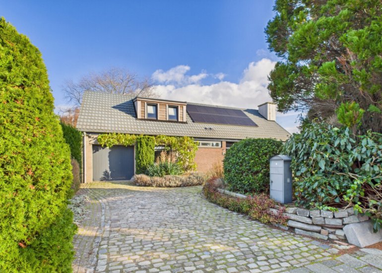  Dorus Rijkersstraat 6, Terneuzen