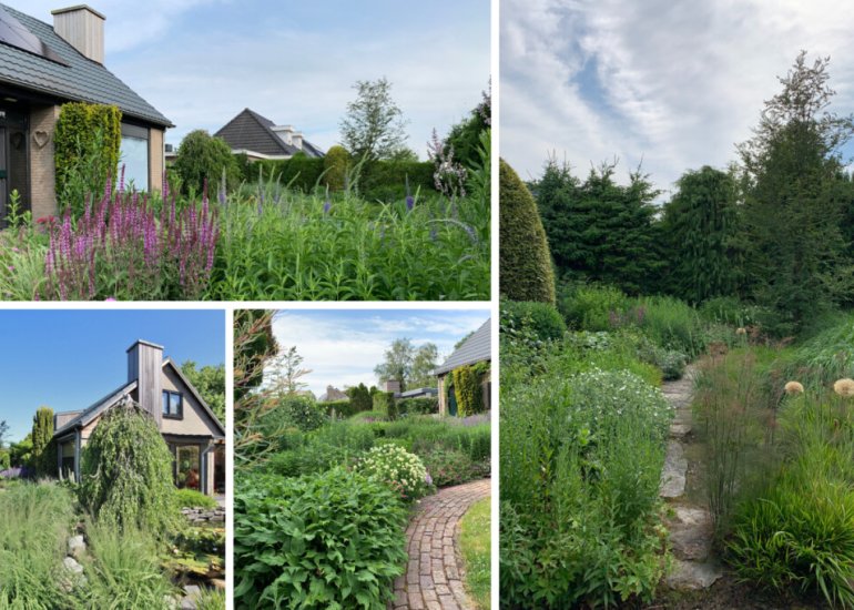  Dorus Rijkersstraat 6, Terneuzen