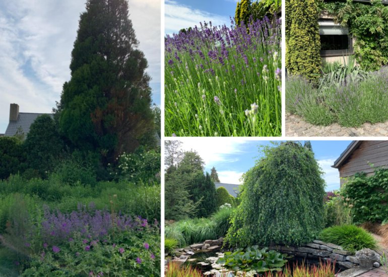  Dorus Rijkersstraat 6, Terneuzen