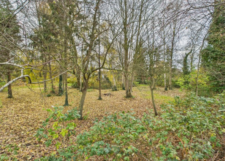  Graafjansdijk B 37, Westdorpe