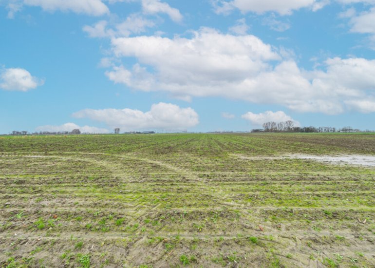  Plevierstraat 3, Hengstdijk