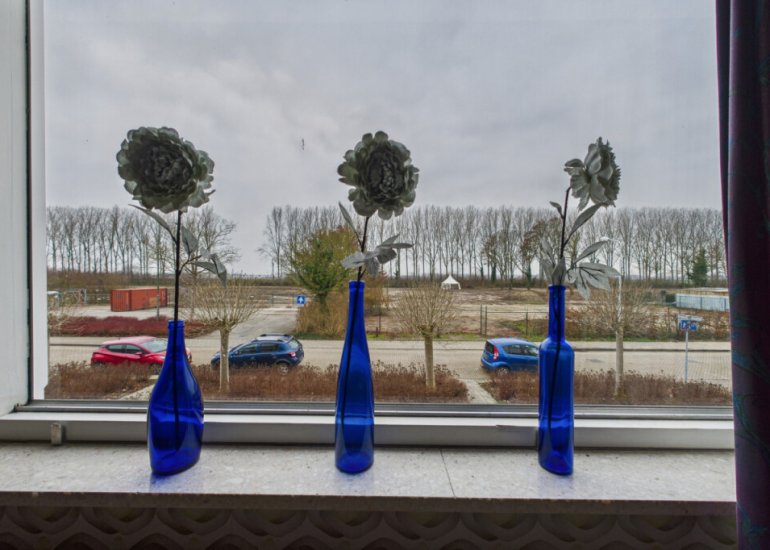  Drostlaan 8b, Sluiskil