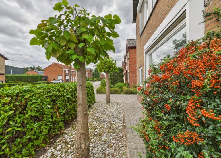  's-Gravenstraat 4, Clinge